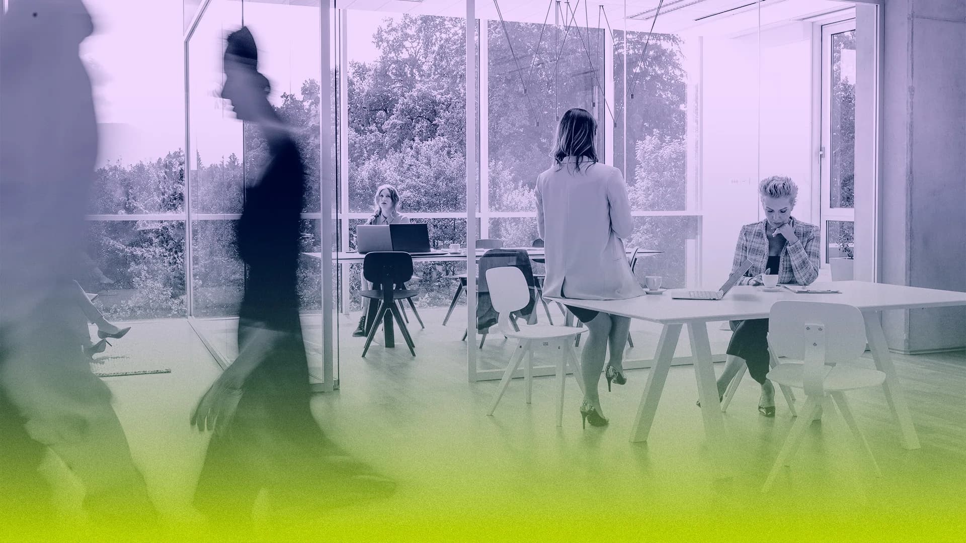 Employee Experience as Business Strategy: A Charlotte CEO's Guide