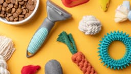 Sustainable Pet Products Need More Than Green Labels