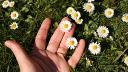 Earth Day 2026: Why Charlotte Businesses Should Act Now