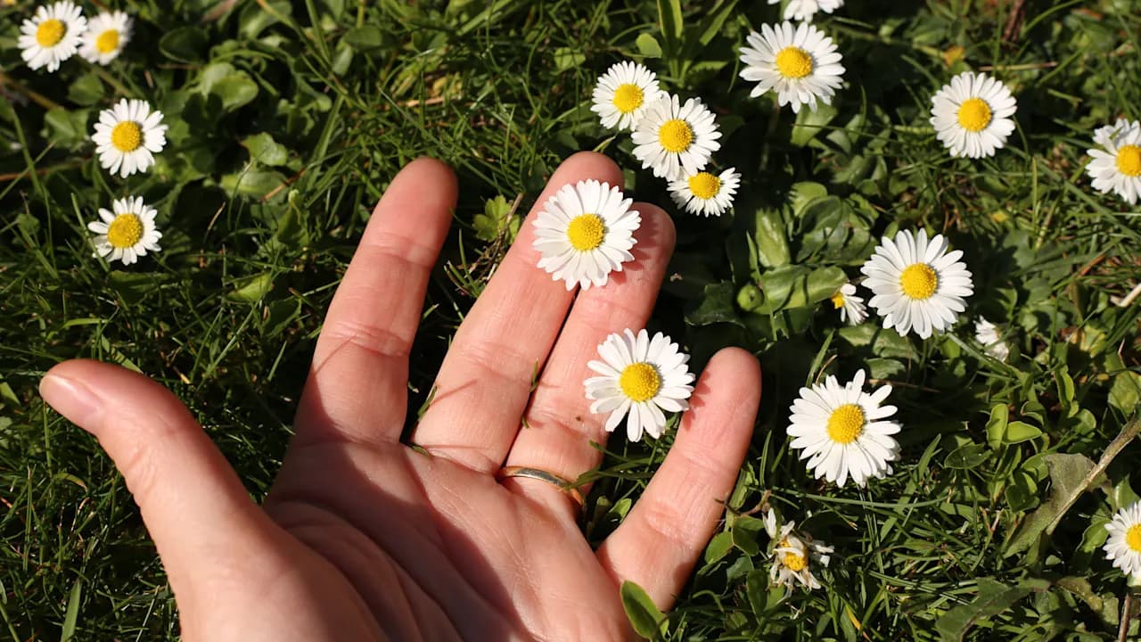 Earth Day 2026: Why Charlotte Businesses Should Act Now