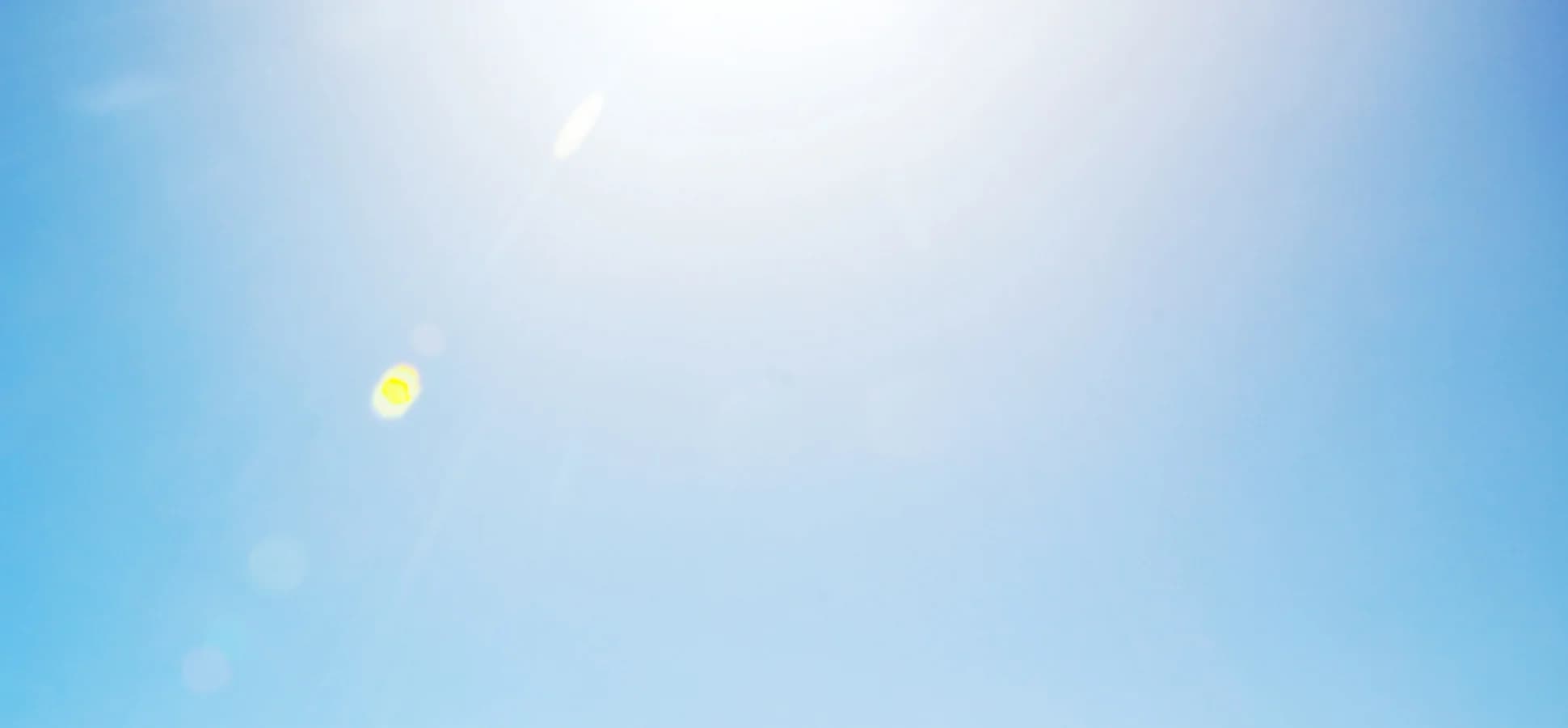 Brain Health Matters: What a 16-Year Study Reveals for Charlotte Professionals