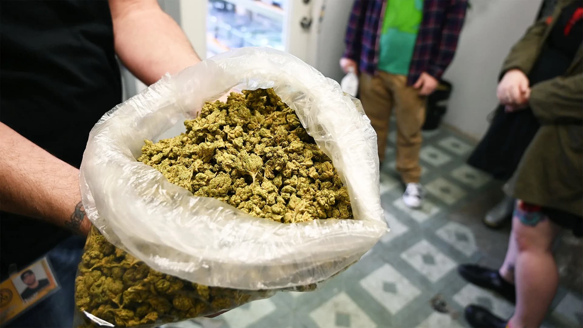 Cannabis Reclassification: What Charlotte Business Owners Need to Know